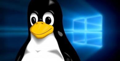 Verás ⭐ 6 PROGRAMAS / productos de MICROSOFT ✅ Windows que los puedes instalar y EJECUTAR EN LINUX ⭐, pasando desde frameworks hasta sistemas enteros.
