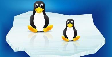 En este post encontrarás una comparativa muy bien realizada de las mejores distribuciones Linux más ligeras para instalar en tu ordenador. ¡ENTRA!