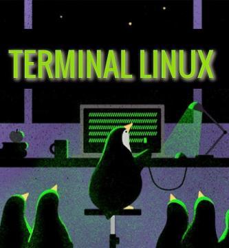 In this post you will find the Webminal platform, a useful website that you can access to learn everything about the Linux terminal. ENTERS!