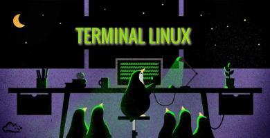 En este post encontrarás a la plataforma Webminal, web útil en la que puedes acceder para aprender todo sobre la terminal de Linux. ¡ENTRA!