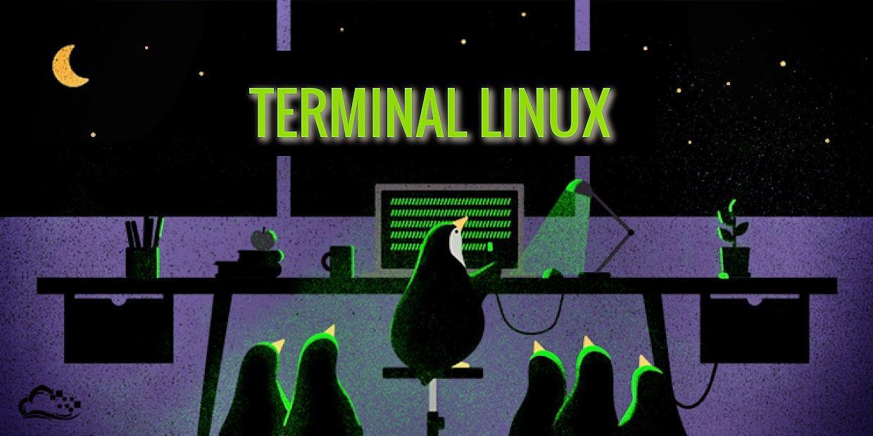 Webminal, una terminal Linux online y gratuita