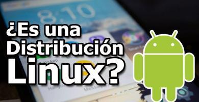 En este post discutiremos sobre Android, en especial de una pregunta que da mucho qué hablar: ¿es Android una distribución Linux? ¡ENTRA!