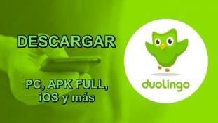 duolingo for pc computer duolingo for pc computer