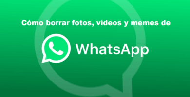 Aprende cómo ⭐ BORRAR fotos, imágenes, VÍDEOS y MEMES de WhatsApp ✅ que ya no te interesen de forma FÁCIL, GRATIS y segura. ¡ENTRA!