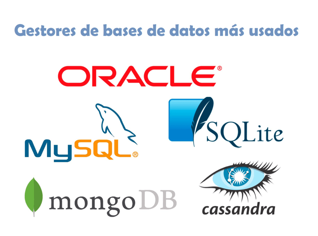 Do you know which are the most used DATABASE managers on the planet? ✅ Enter to see its features and functionalities!